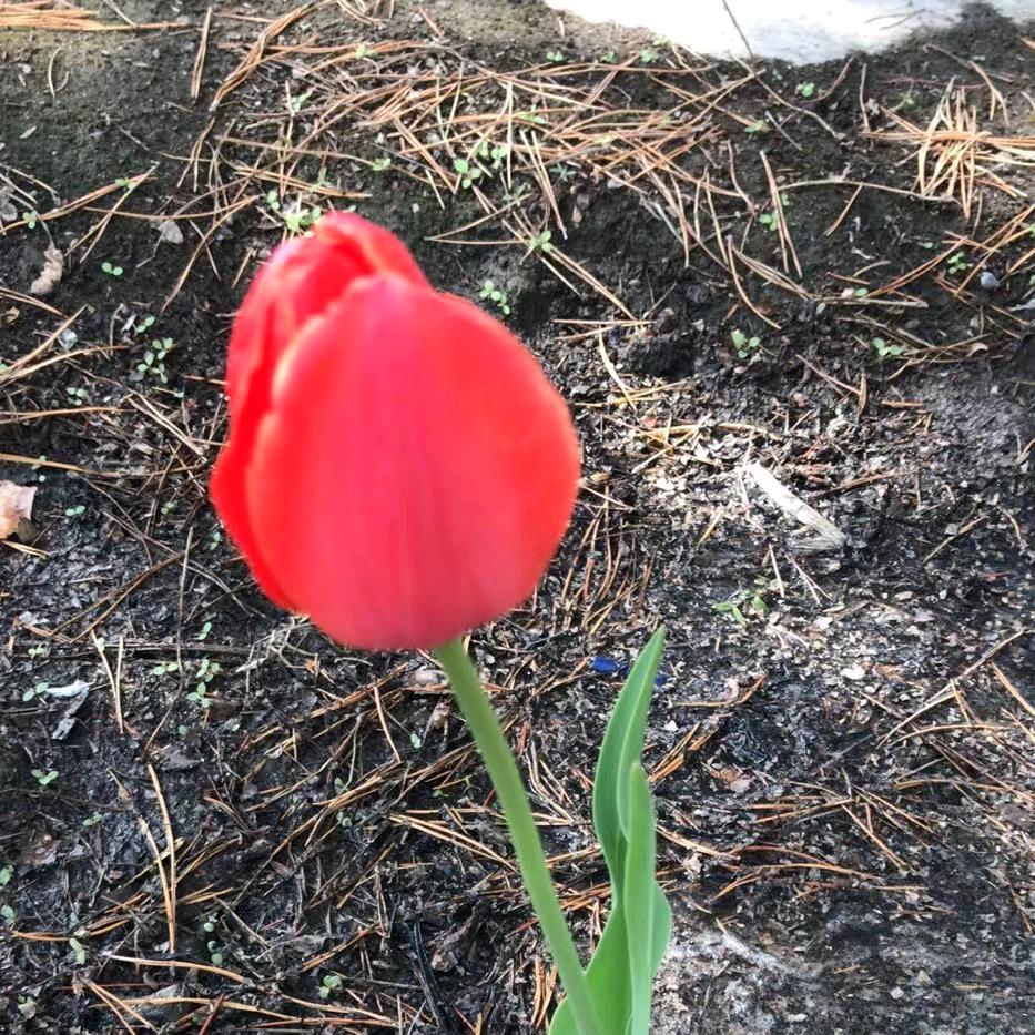 过眼云烟