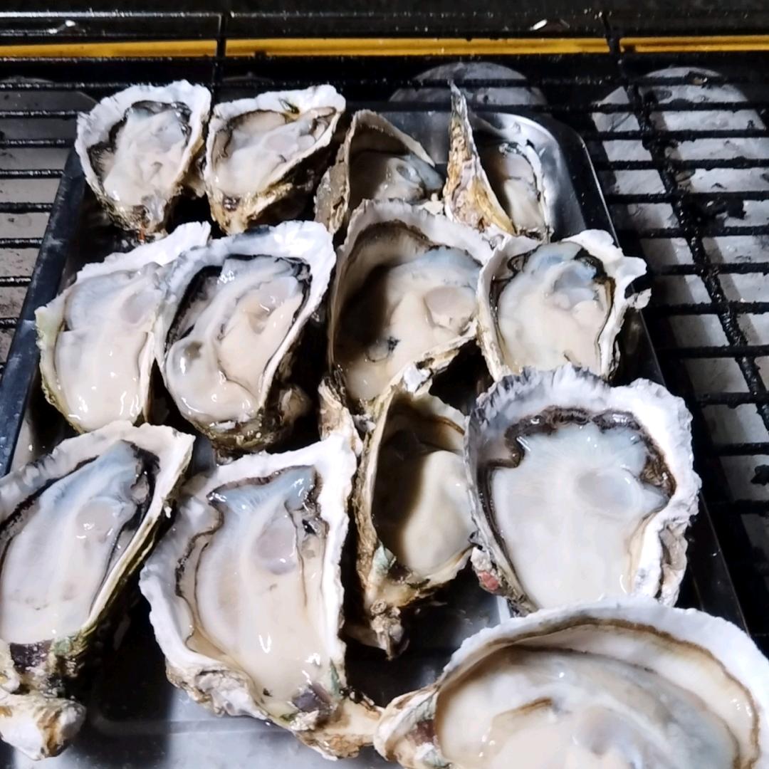 有妳的背影才不孤单