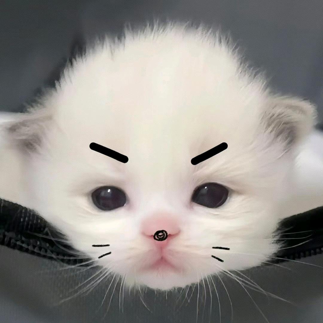 绝望的文盲99