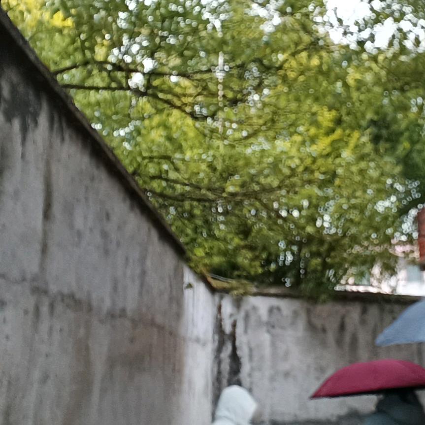 芽芽呀