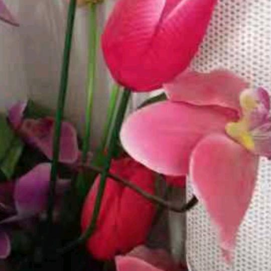 没意思，（搞笑视频）