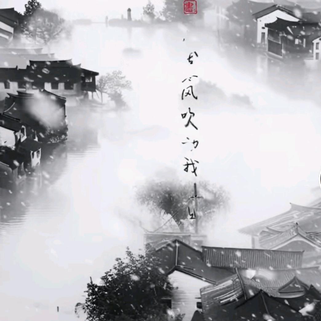 A 咨询