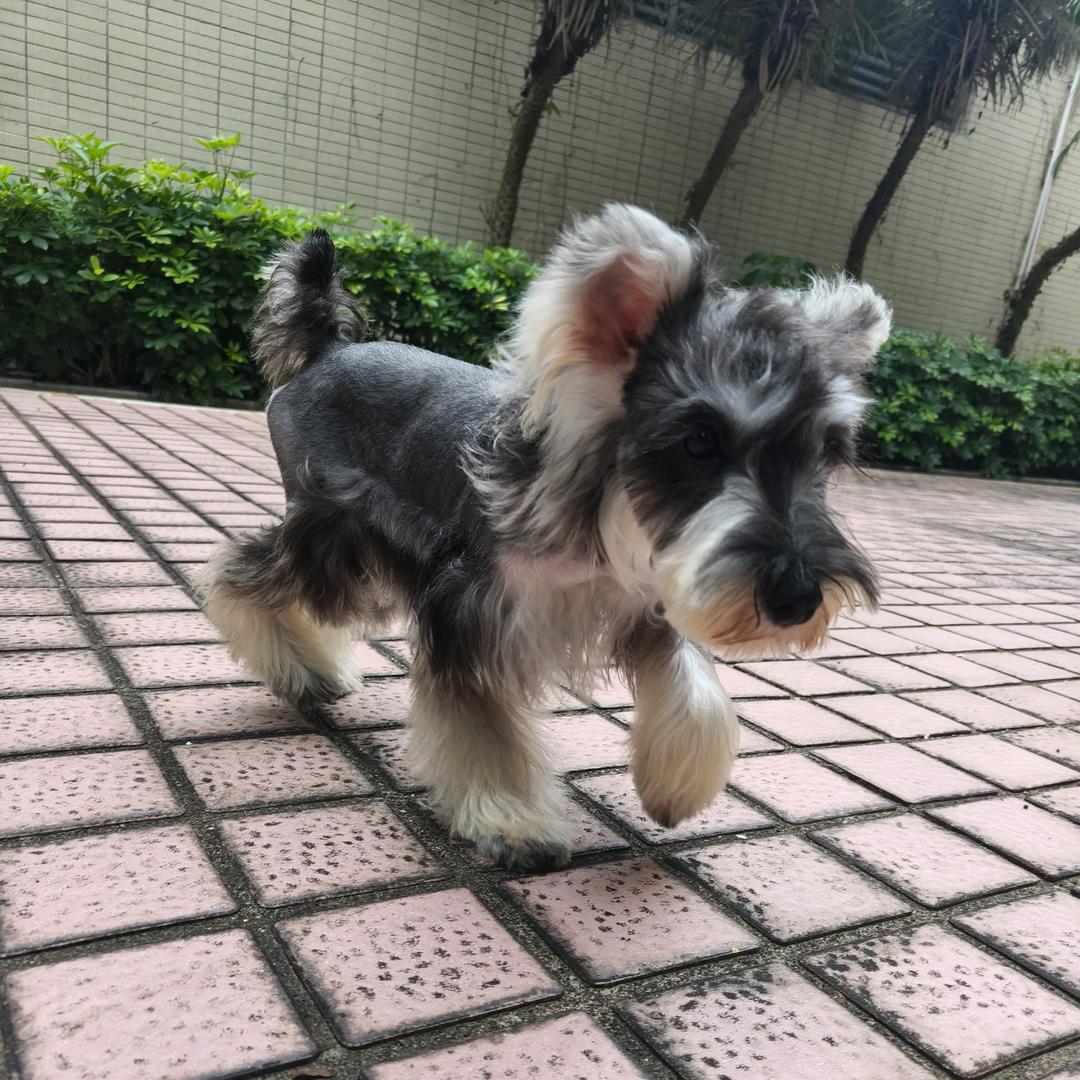 陈陈爱分享