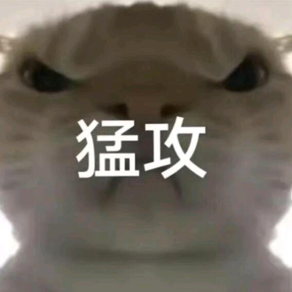 哈基狼