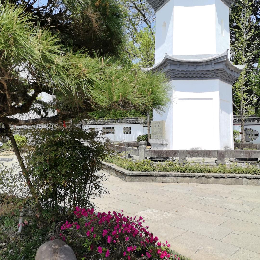 人生没有如果