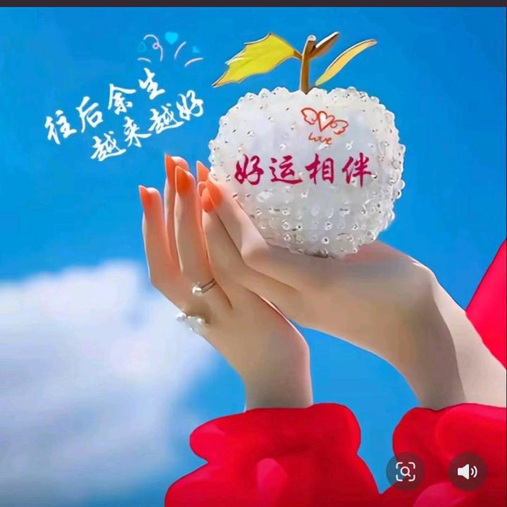 申