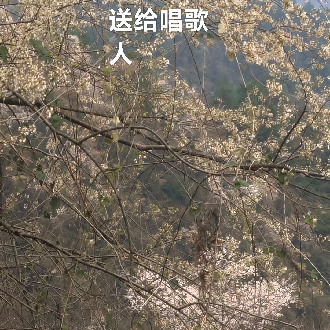 简单