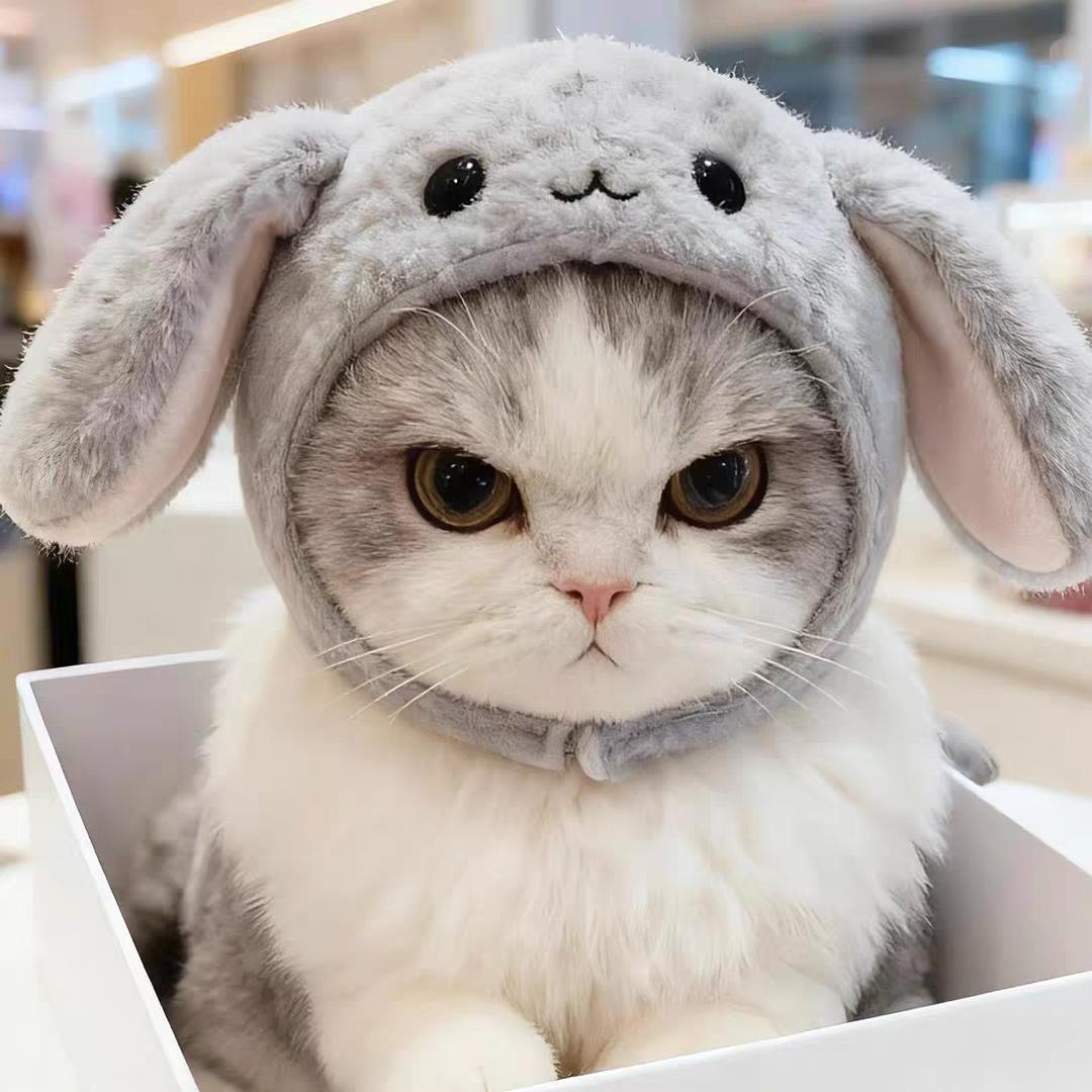 ๑蘇小桃