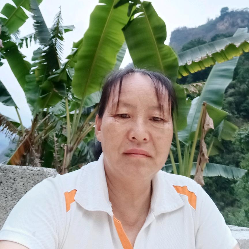 杨二姐姐
