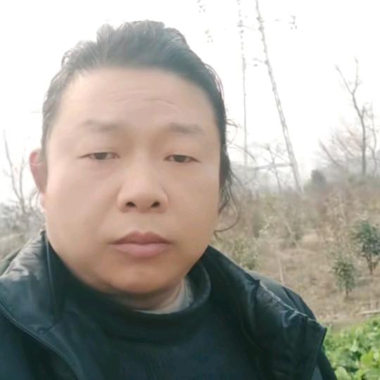 胖兔子