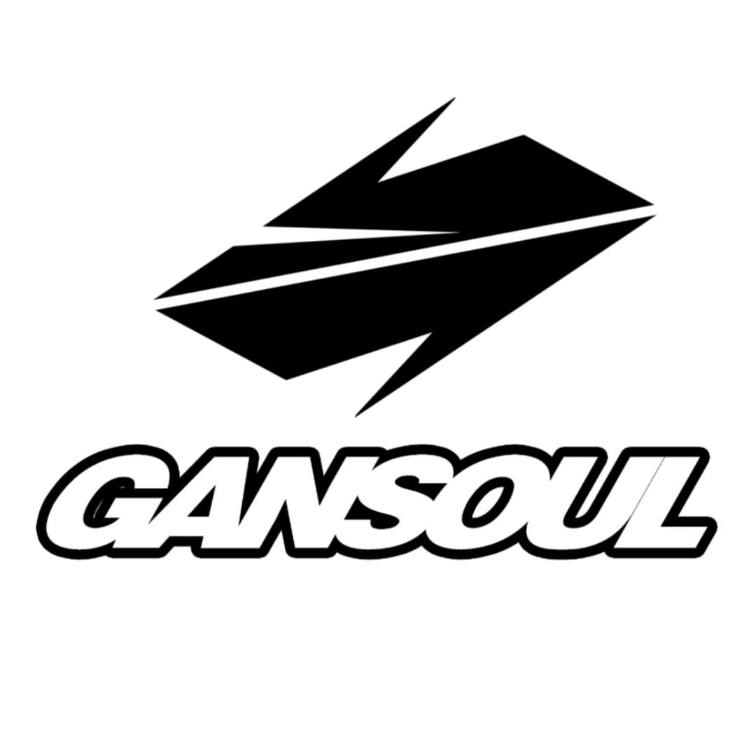 Gansoulwang摩托车装备旗舰店