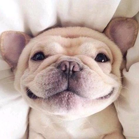 噢力给😍