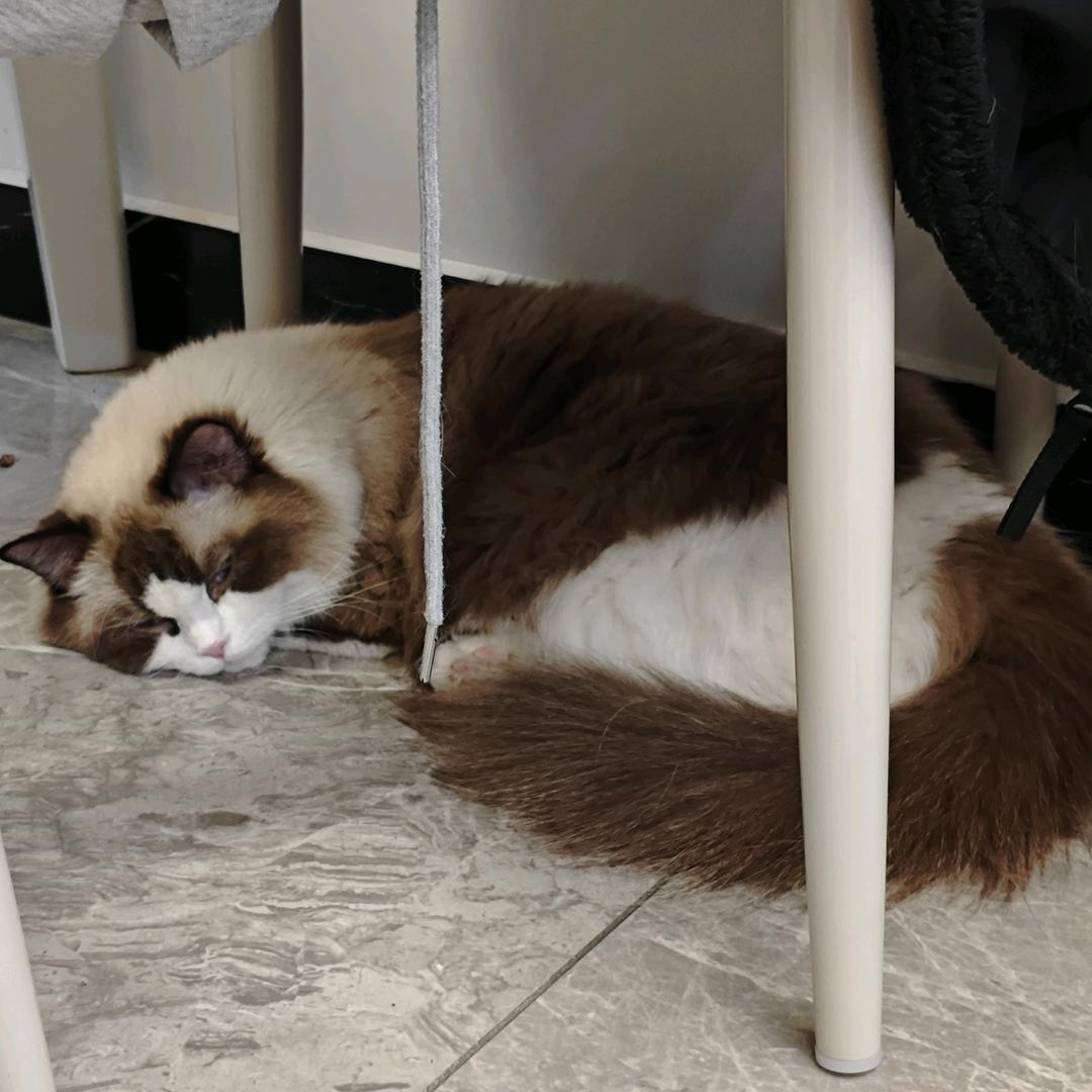 小张带你看本质