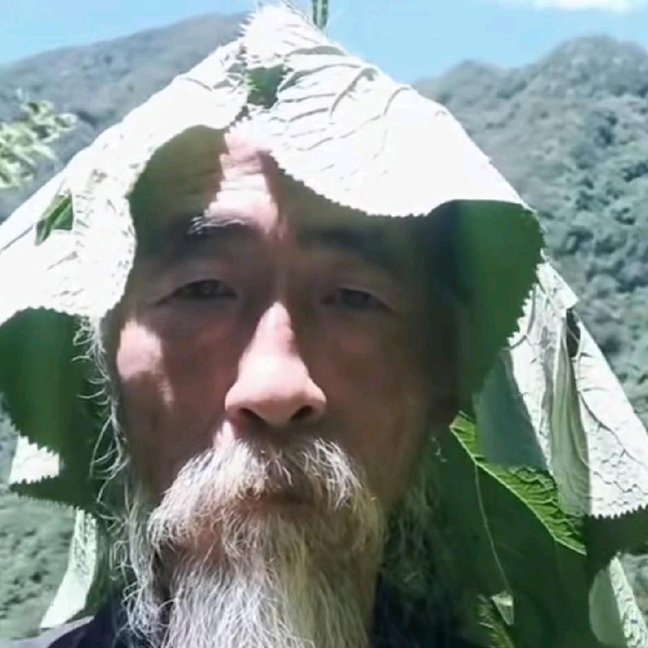 歪老师（高三生物专家）