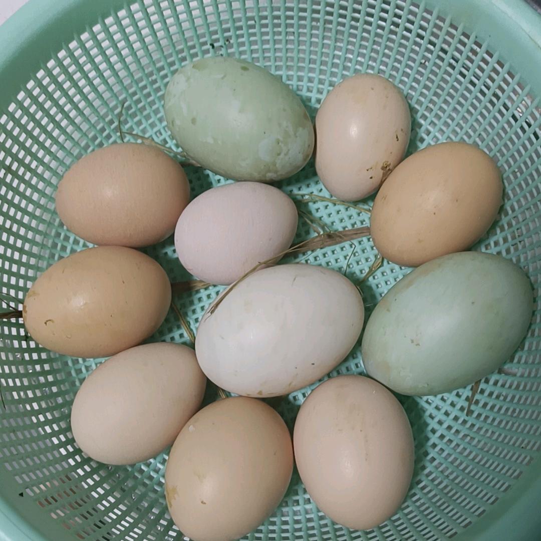 🧚🏻‍♀️开心姐🐥🦆?