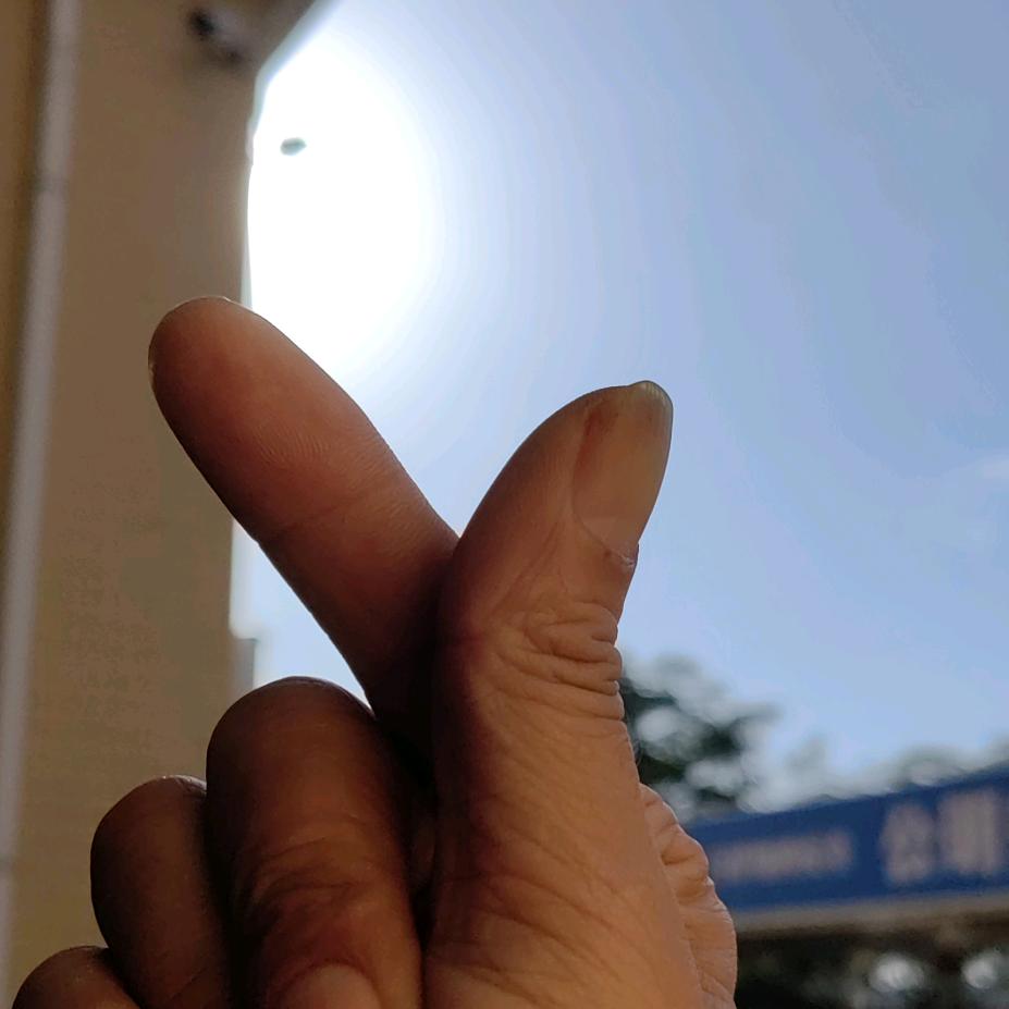 廿柒🐍