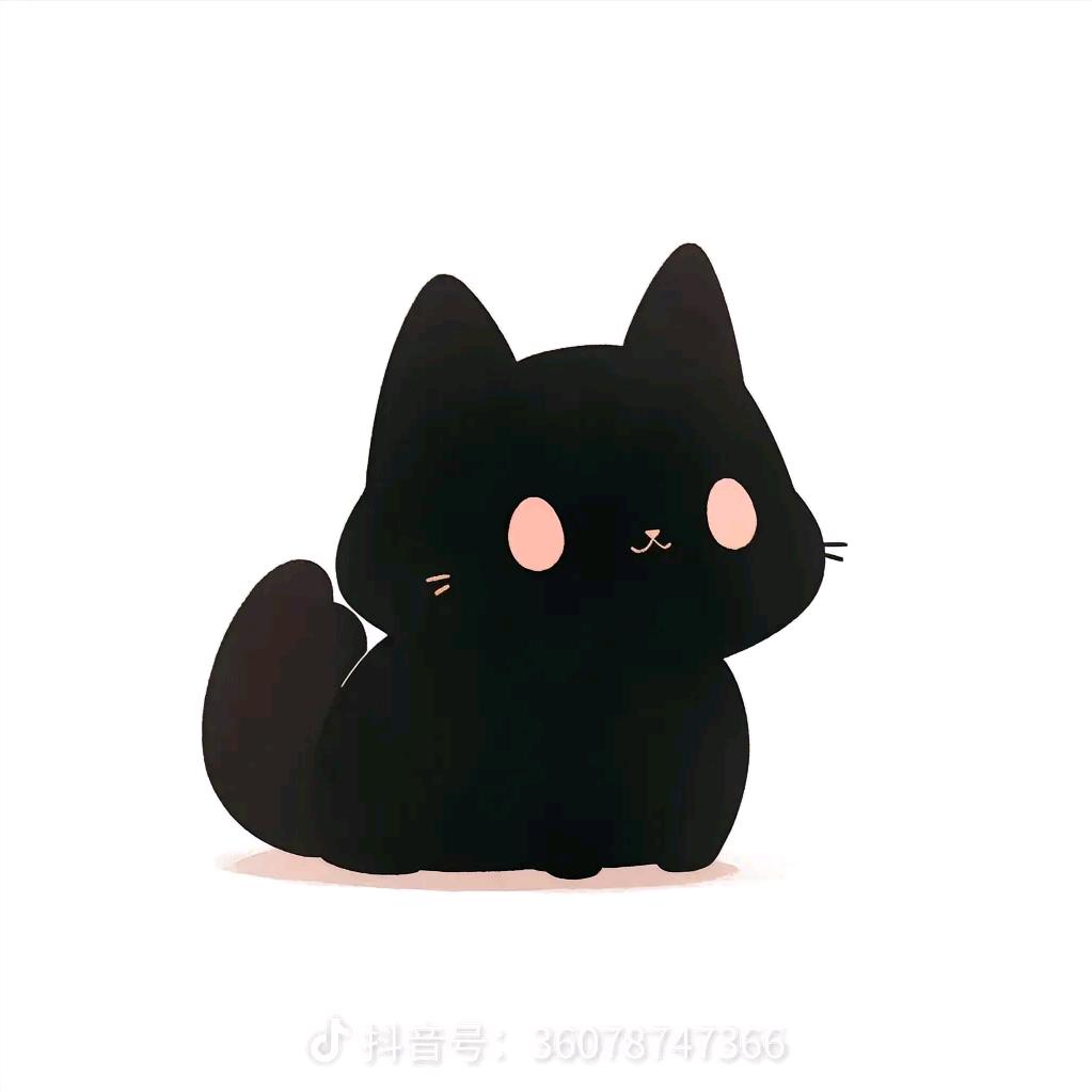 黑色的猫🐱