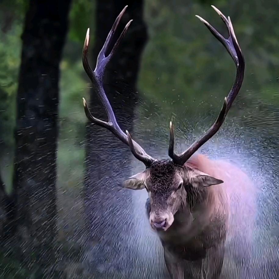 漠河♦大小【户外野游领队】