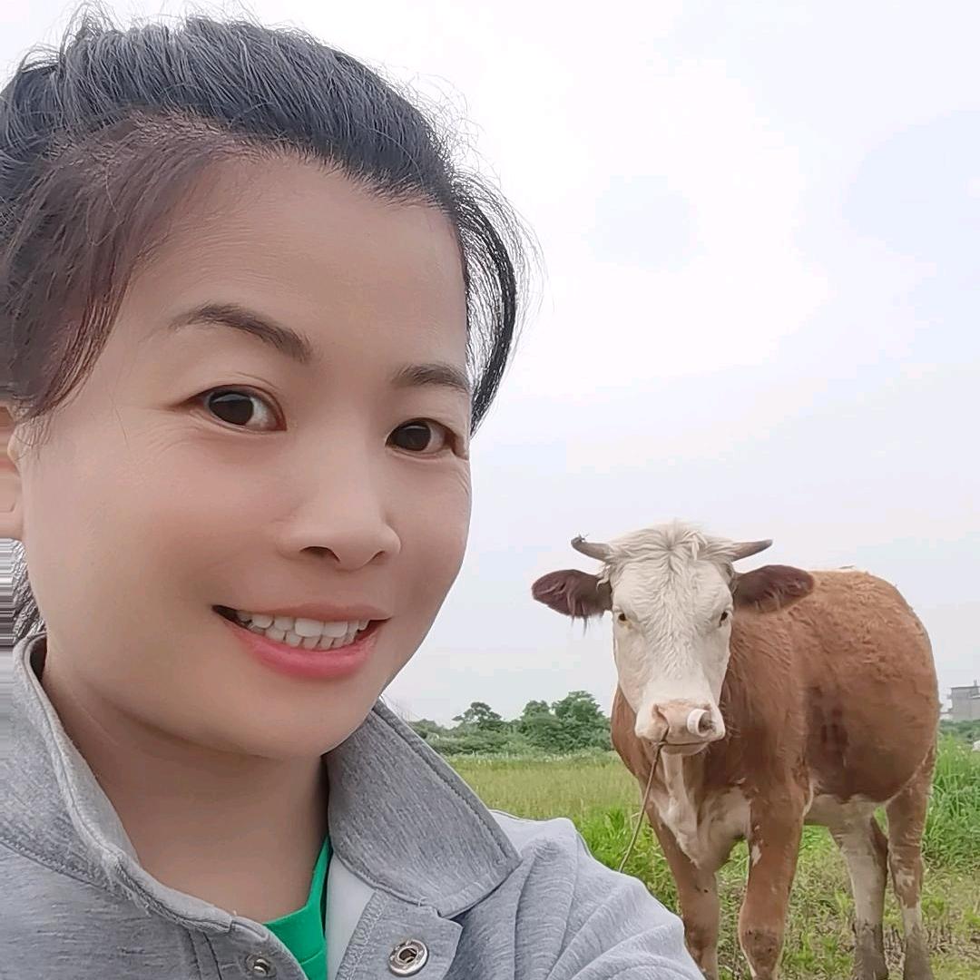 牛姐