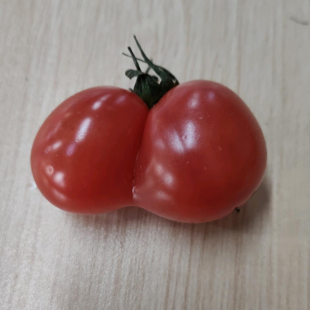 小琪故事