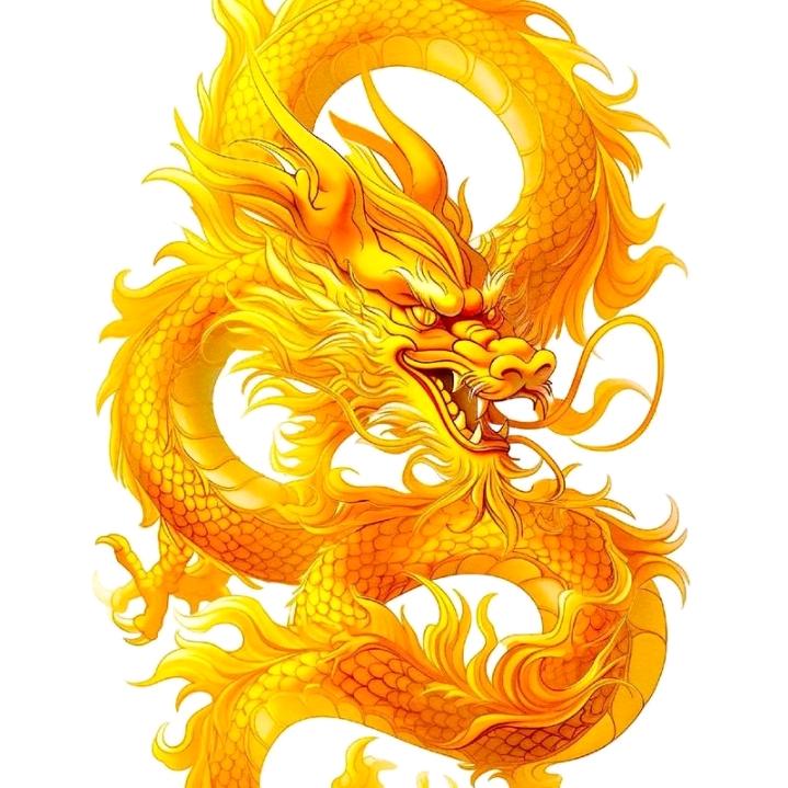 🐉龍行天下🐉