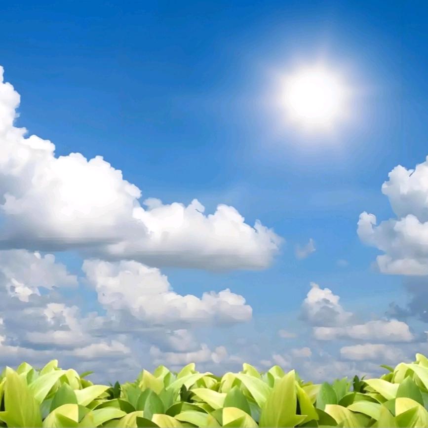 紫薇花开（分享精选好物）