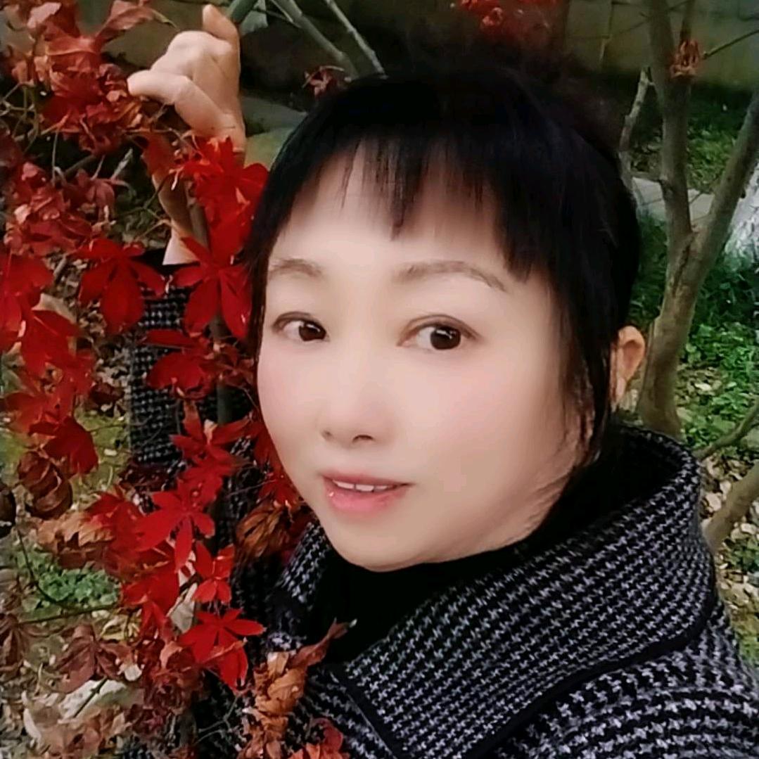 一剪寒梅(好物在橱窗)