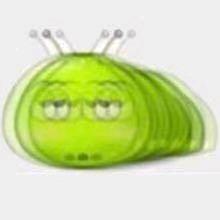小施主🎾