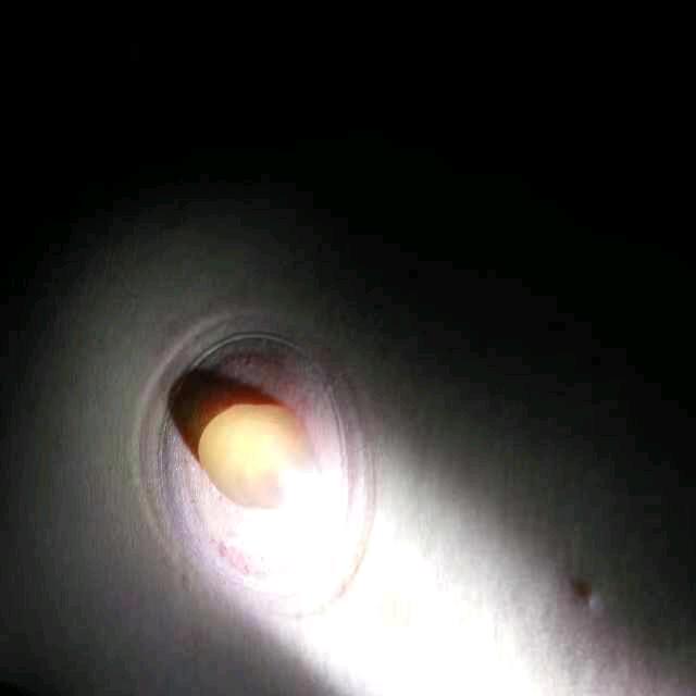 水月洞天