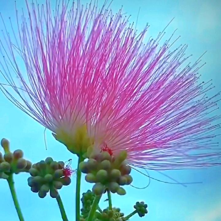 时间验证了人心❤️