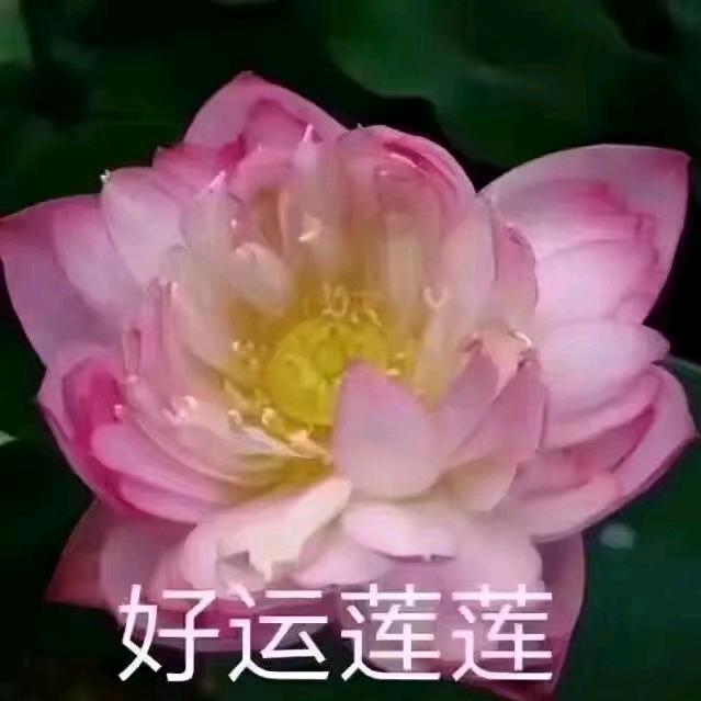 妮