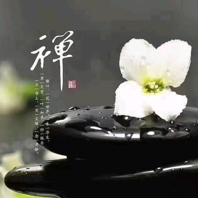 就两字！！搞钱💰！！