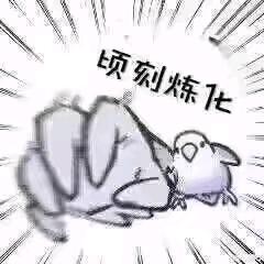 🌝🌝