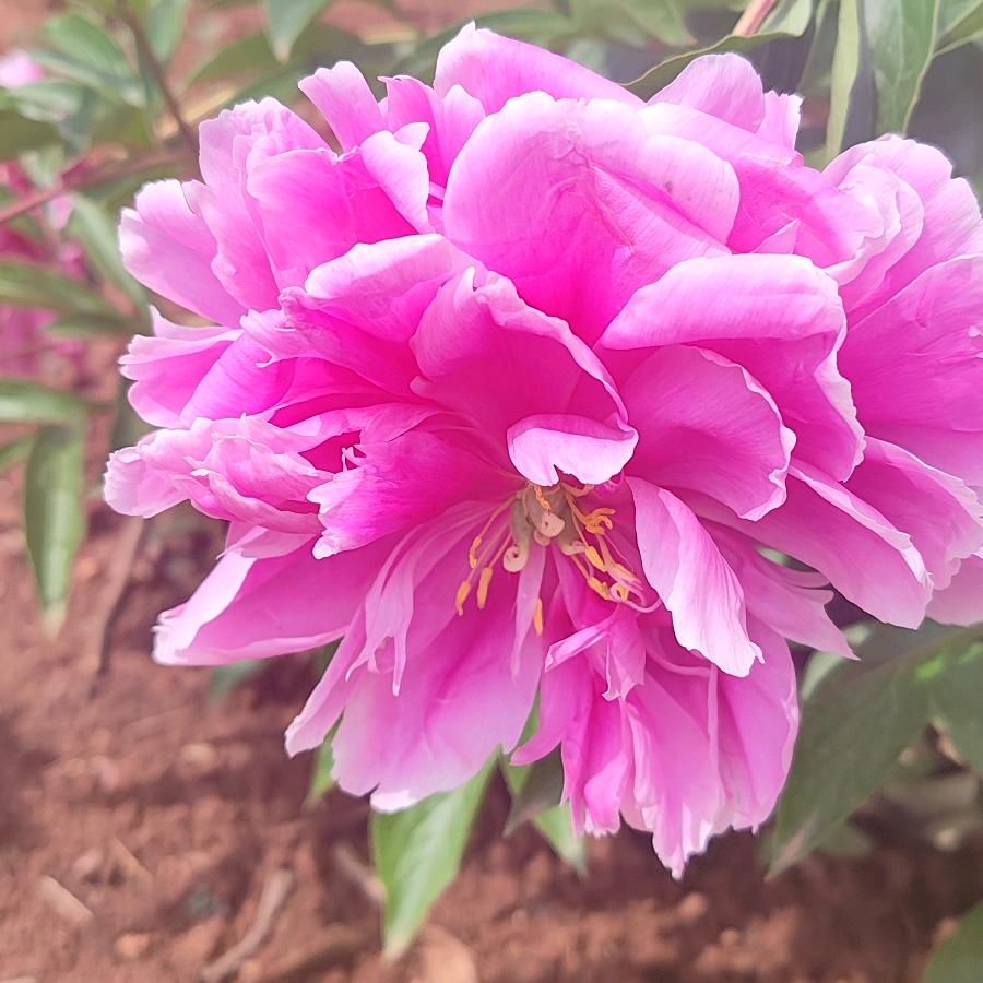 秋秋🍁🍁⁷⁰⁷