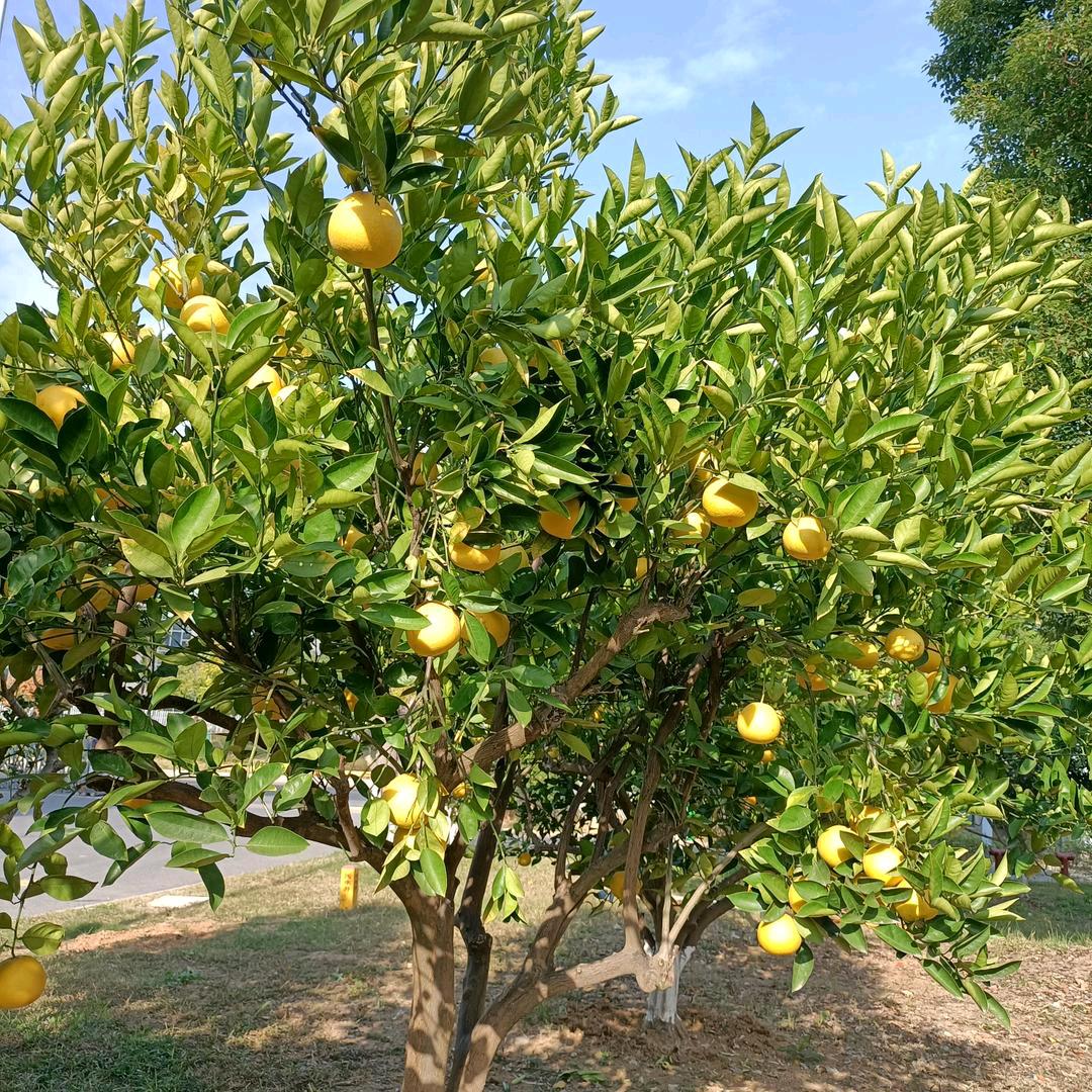 拥抱星空的◇唯美