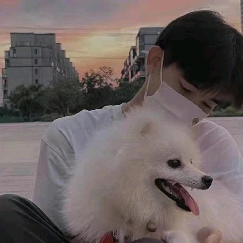 开心小狗🐶