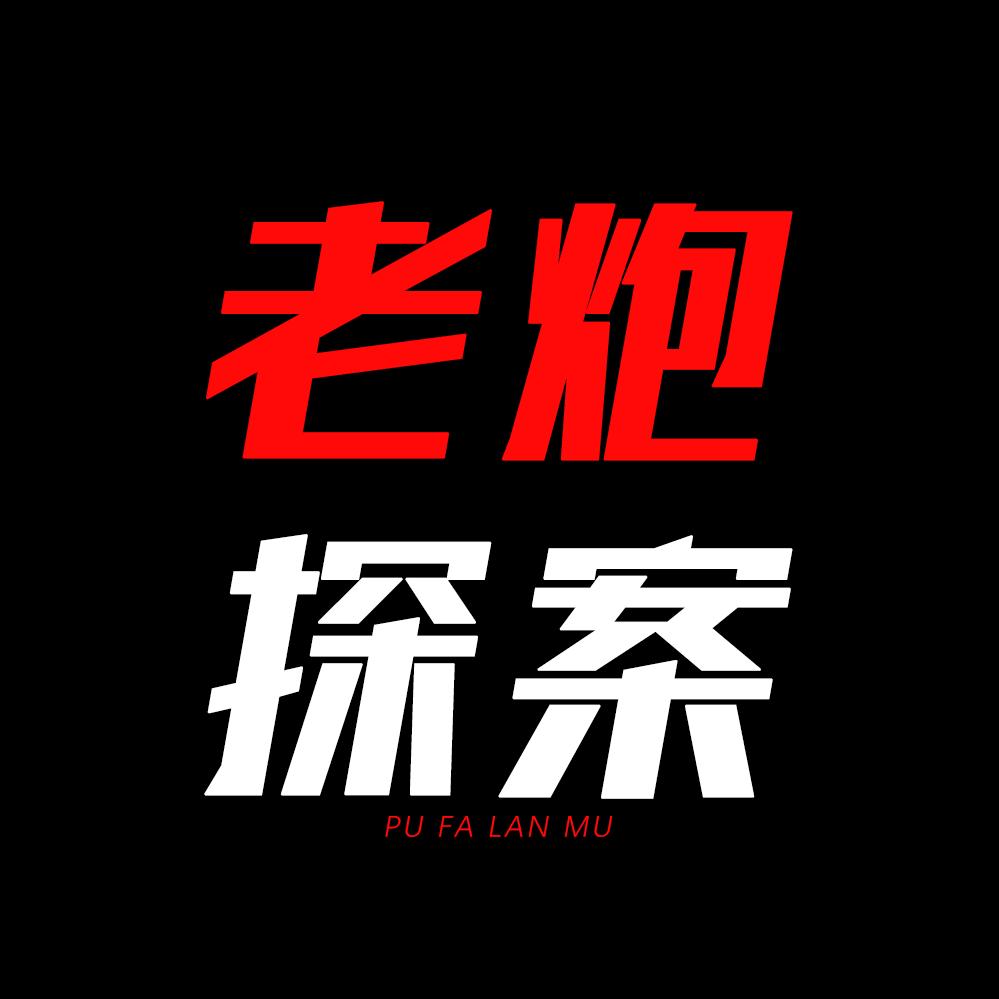老炮探案