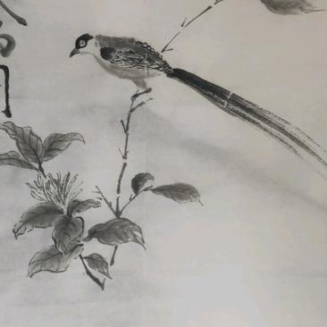 墨彩展望