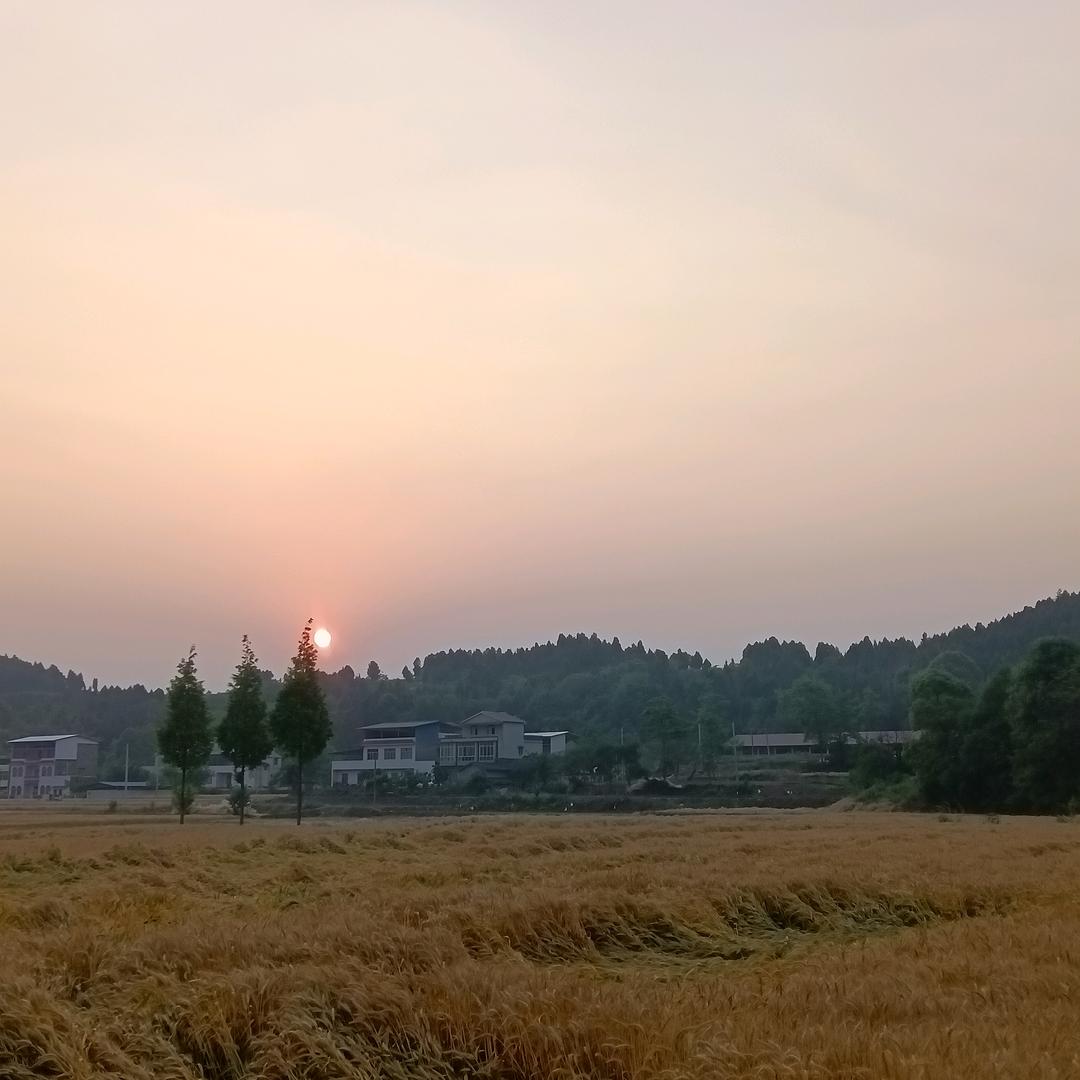 收知了壳的小刘