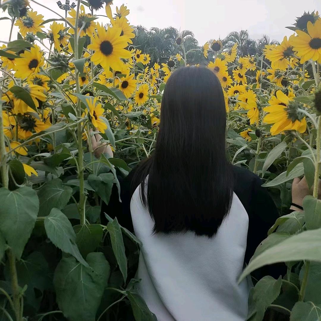 👄小太阳👄