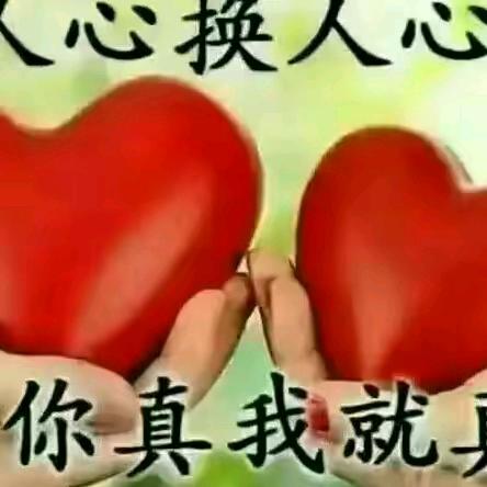 珍珍惜惜