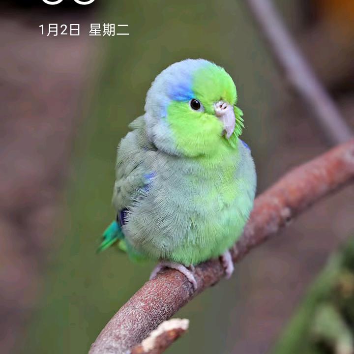 小七很快乐
