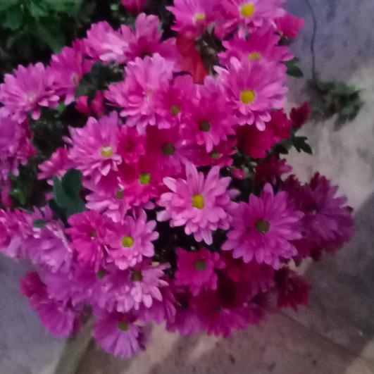 2014我爱你么么哒