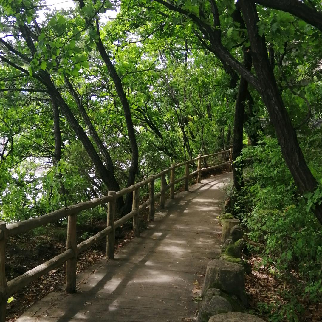 风高