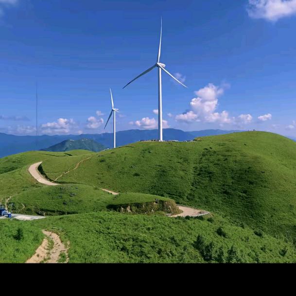 有爱财🍒🍑幸福