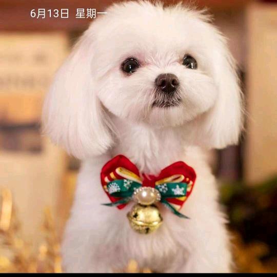 心中有爱，全家幸福