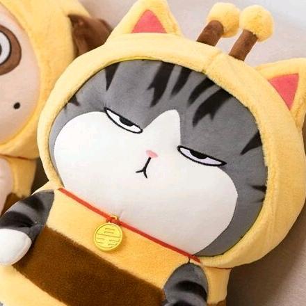肥猫不太肥