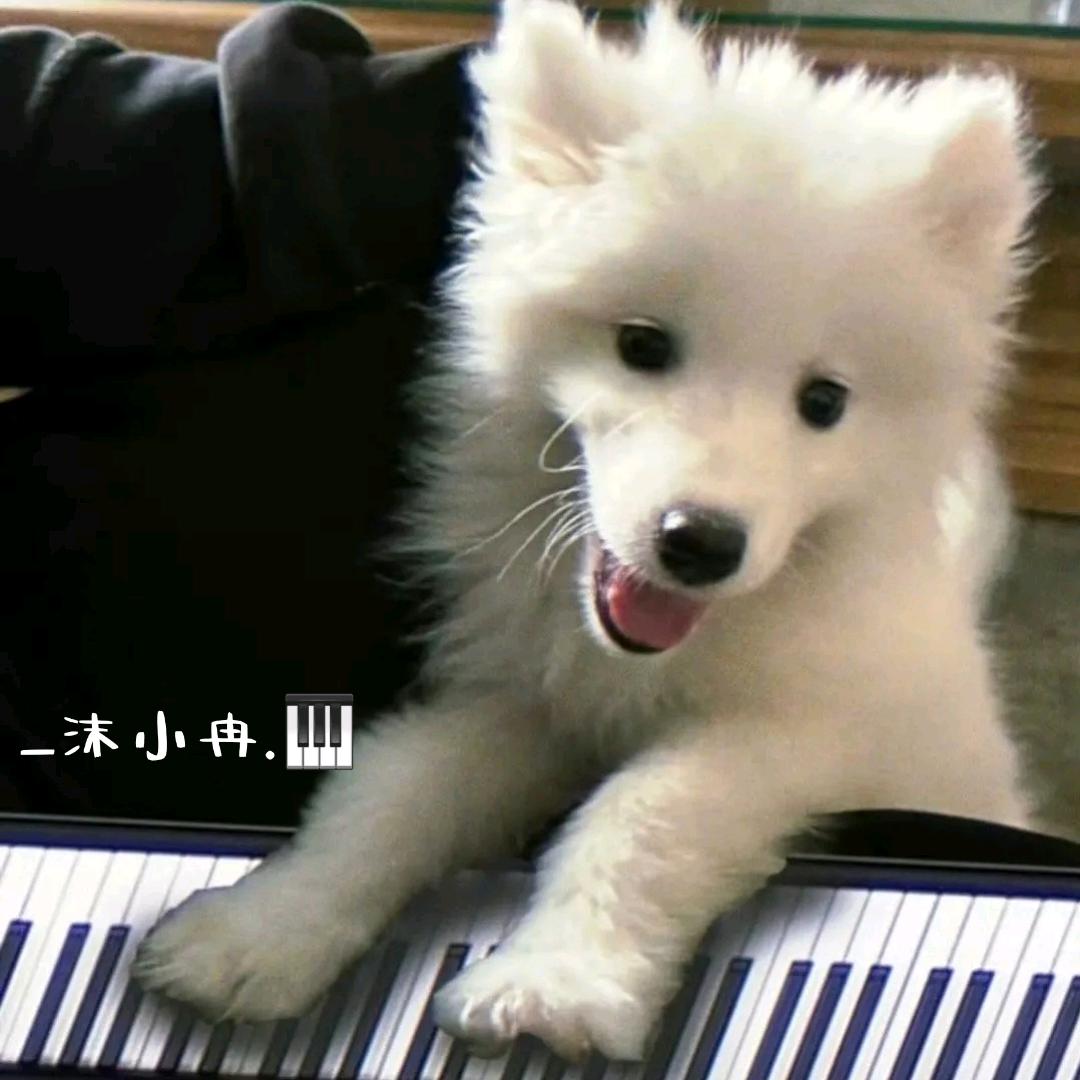 _沫小冉.🎹