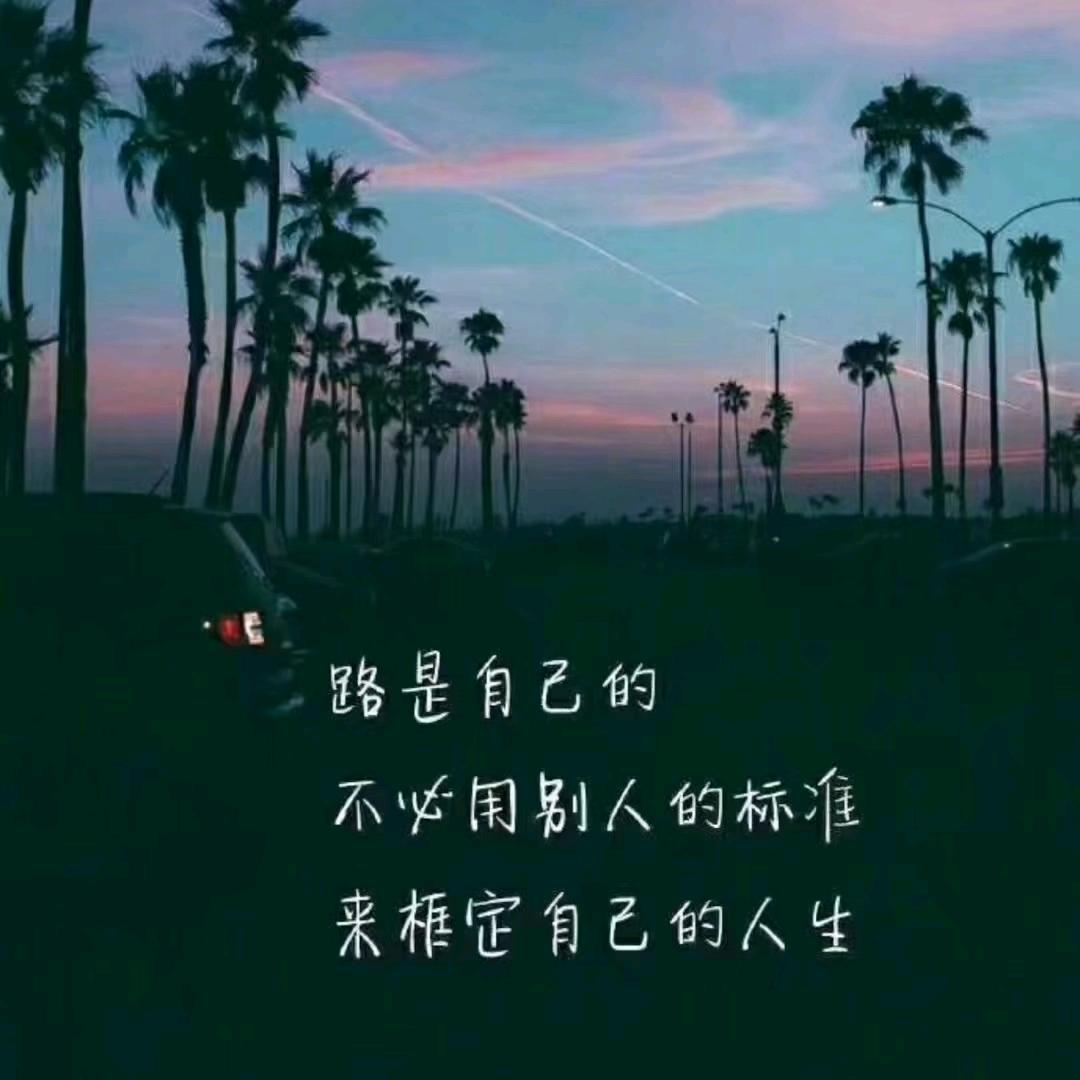 &飘渺孤鸿影&