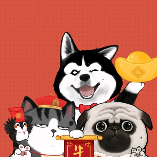 小哥爱抖音